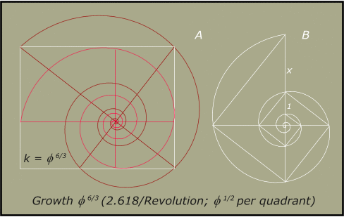 Fig. 15.  The Rectangle with Inner and outer Spirals for Spira Solaris