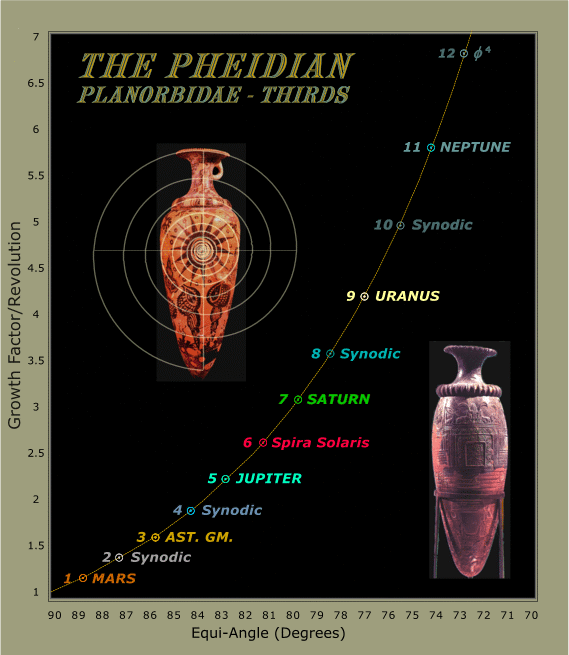 Fig. 19.  The Phedian Planorbidae in Astronomical Context