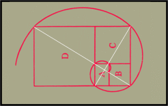 After Figure 365, On Growht nad Form, 1917.