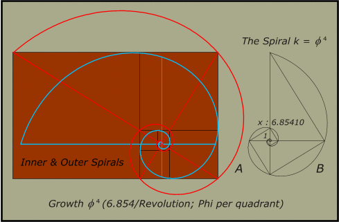 Golden Rectangle and associated spirals
