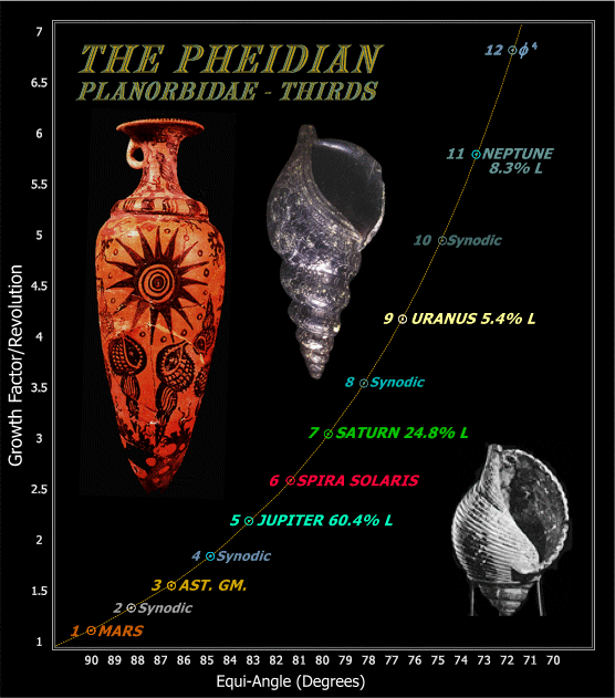 Fig. 19.  The Phedian Planorbidae in Astronomical Context