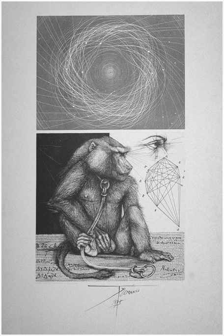 "SINGE AUX ATOMES" BY PIERRE-YVES TREMOIS